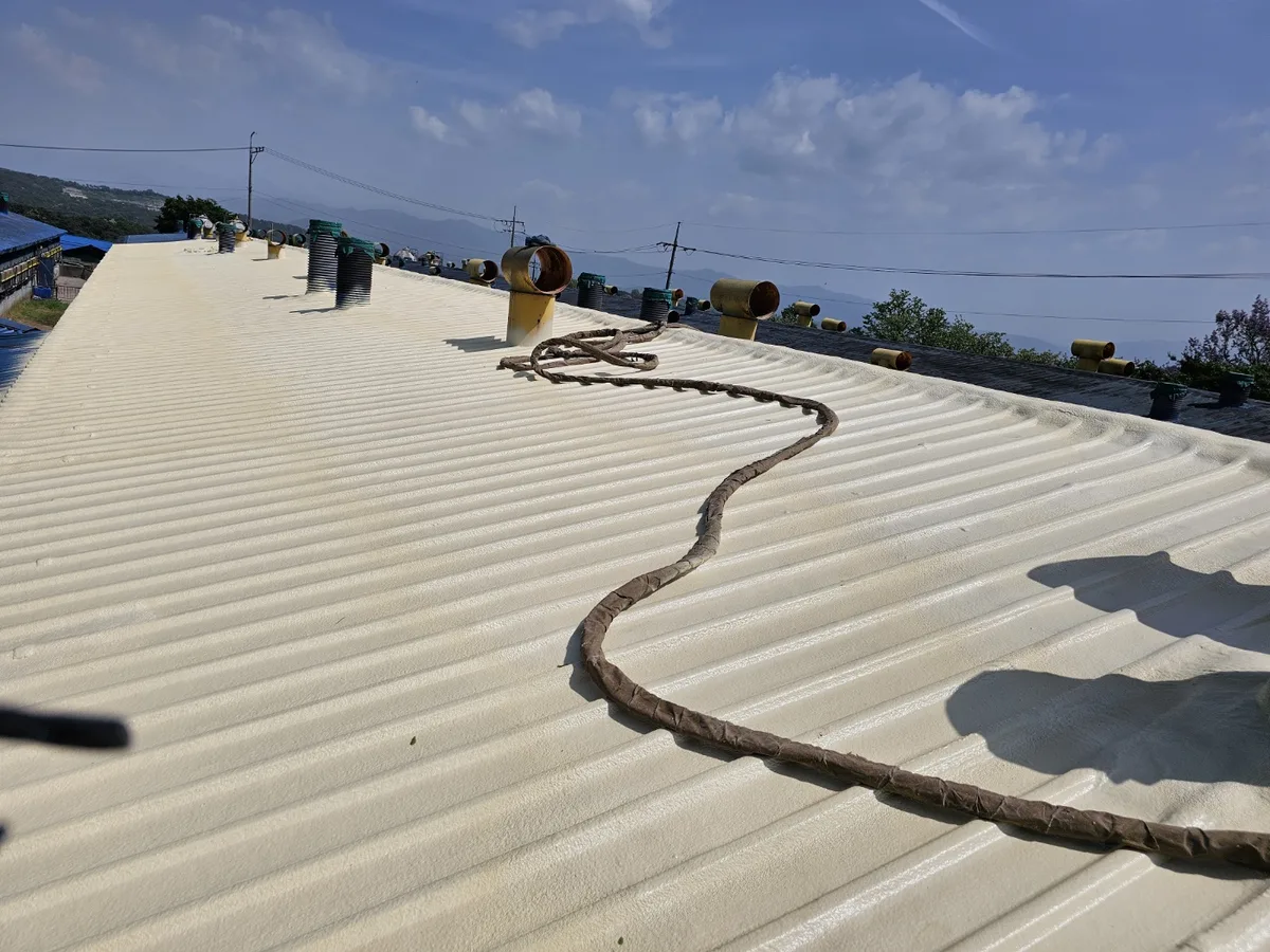 Livestock Barn Roof Insulation Coating Construction