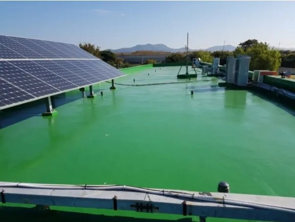Roof Repair Work at Gyeongho Elementary School, Yeosu - After