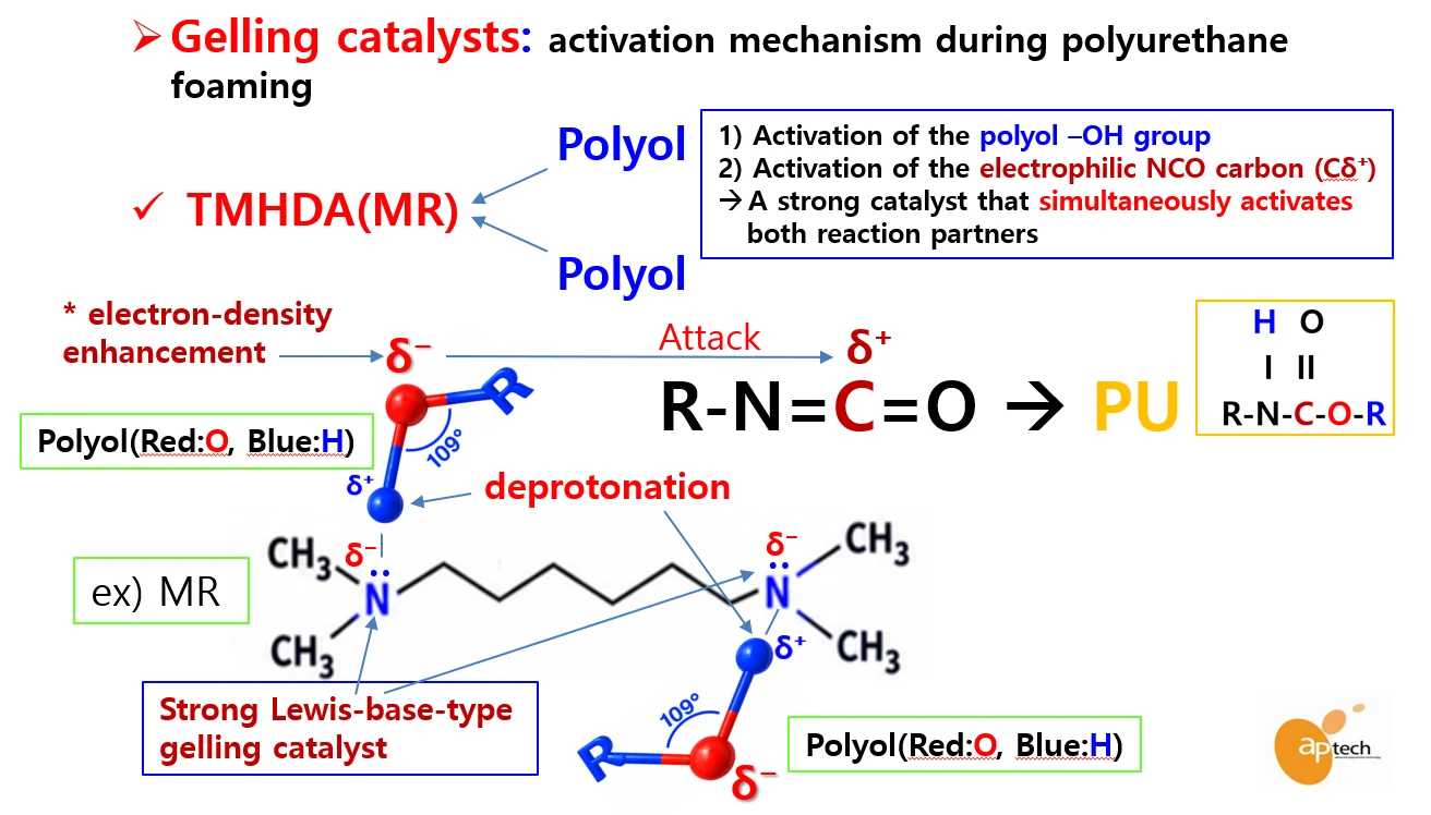 TMHDA (MR) strong gelling catalyst activation mechanism during PU foaming
